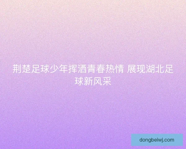荆楚足球少年挥洒青春热情 展现湖北足球新风采