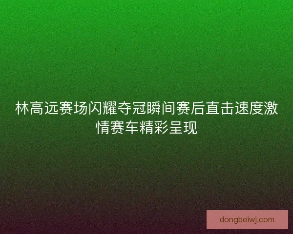 林高远赛场闪耀夺冠瞬间赛后直击速度激情赛车精彩呈现