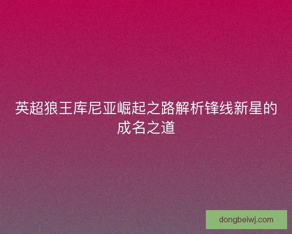 英超狼王库尼亚崛起之路解析锋线新星的成名之道